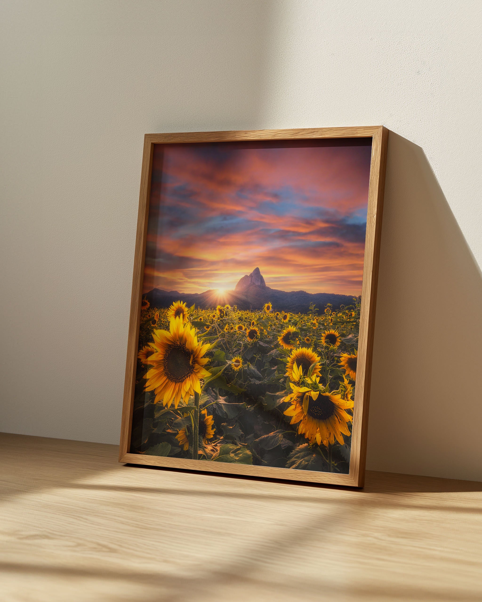Sunflower Glow-psoter-wall_art-decor-The Poster Square
